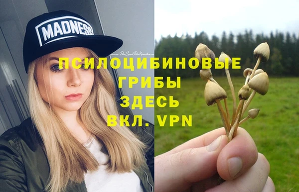 спиды Белоозёрский