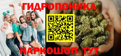 сатива Аргун