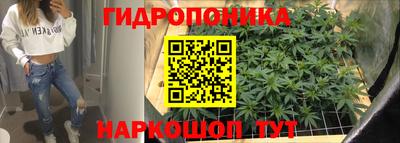 сатива Аргун