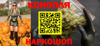 сатива Аргун