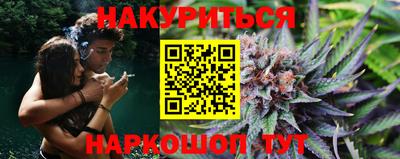 сатива Аргун