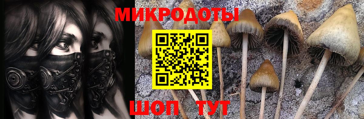 Псилоцибиновые грибы прущие грибы Борисоглебск